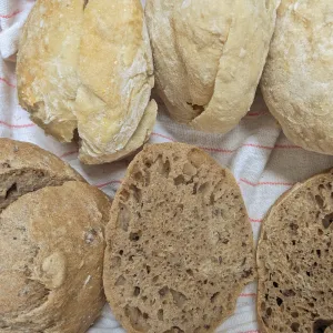 Dinner rolls
