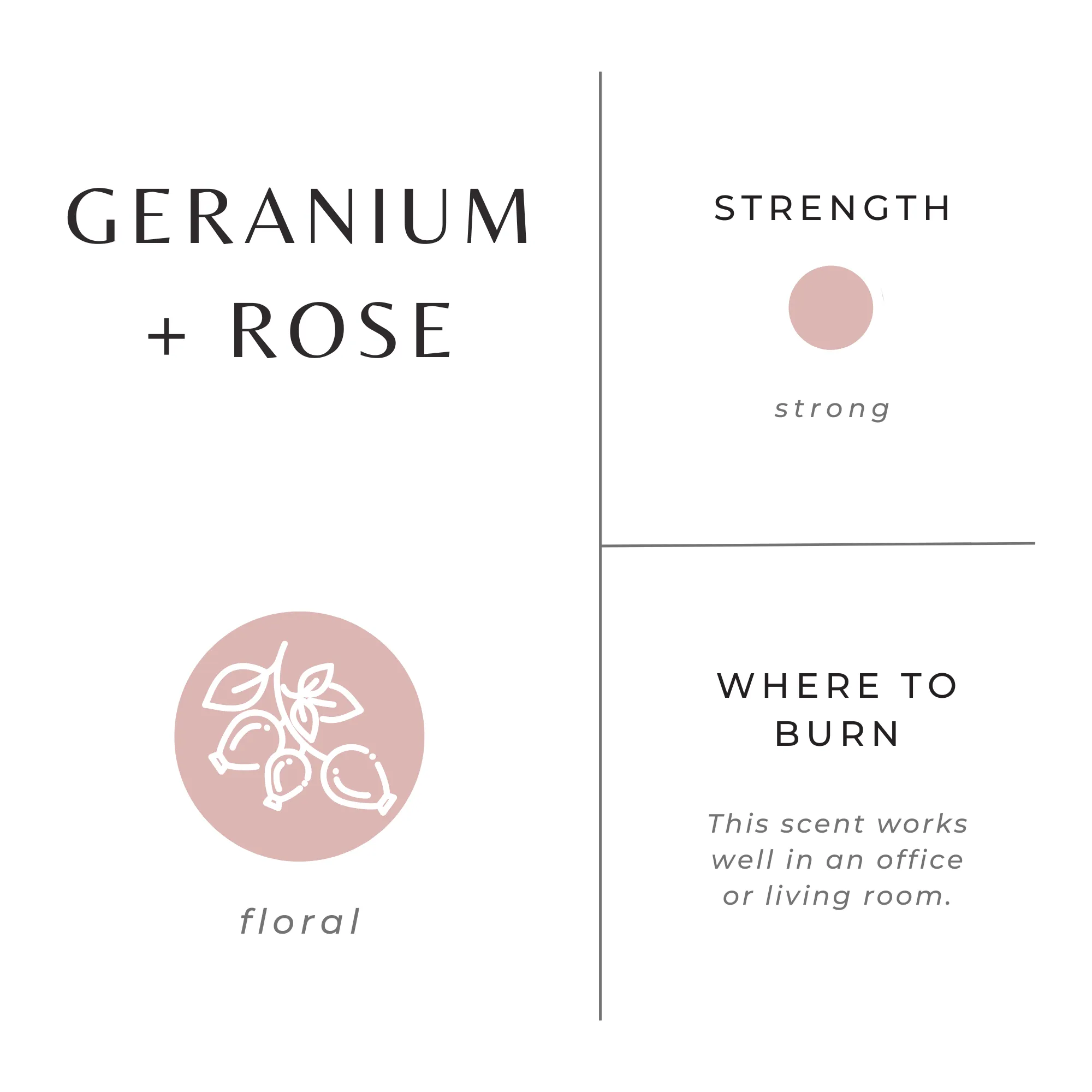 Geranium   Rose