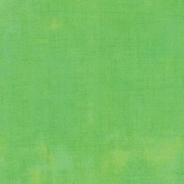 Grunge Basics - Kiwi